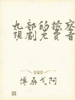九部的检察官电视剧免费看全集