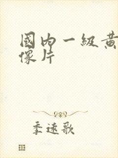 国内一级黄色录像片