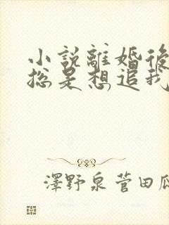 小说离婚后前夫总是想追我免费读