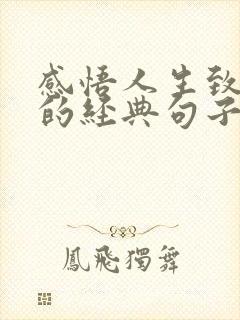 感悟人生致自己的经典句子