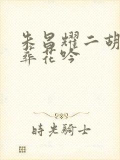 朱昌耀二胡演奏葬花吟