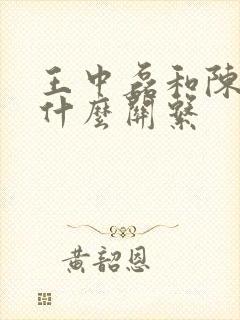 王中磊和陈赫是什么关系