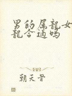 男的属龙女的属龙合适吗