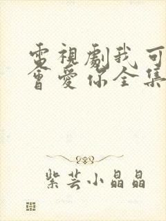电视剧我可能不会爱你全集免费观看