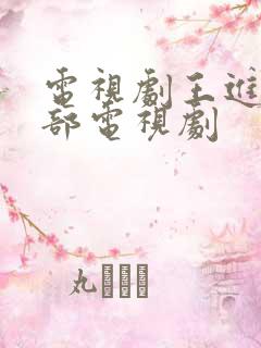电视剧王进是哪部电视剧