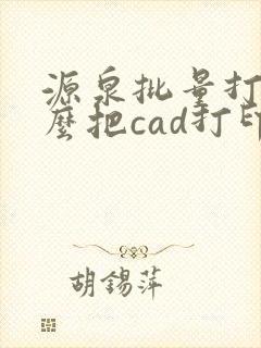 源泉批量打印怎么把cad打印成pdf