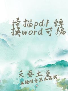 扫描pdf 转换word可编辑