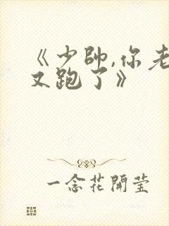 《少帅,你老婆又跑了》