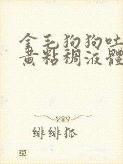 金毛狗狗吐了黄黄粘稠液体