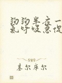 狗狗半夜一直喘气呼吸急促
