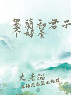 墨兰和君子兰哪个好养