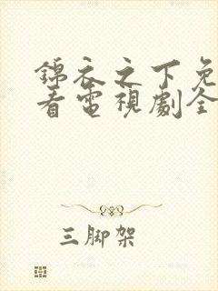 锦衣之下免费观看电视剧全集