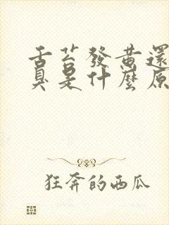 舌苔发黄还有口臭是什么原因