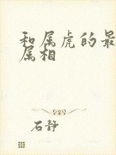 和属虎的最配的属相