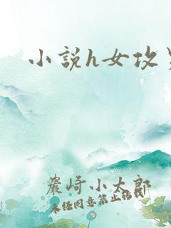 小说h女攻男受