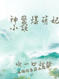 神医爆萌妃原著小说