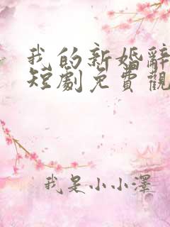 我的新婚辞旧情短剧免费观看全集