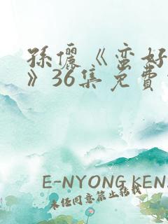 孙俪《蛮好人生》36集免费观看