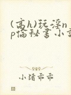 (高h)玩淫np伦秘书小说