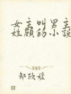 女主叫男主叔叔姓顾的小说