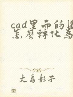 cad里面的图怎么转化为pdf