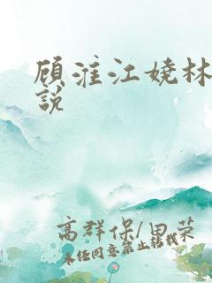 顾淮江娆林澈小说