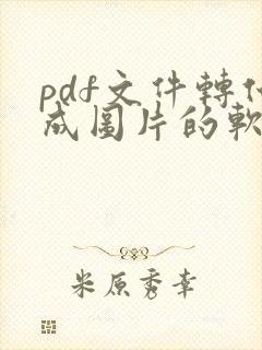 pdf文件转化成图片的软件