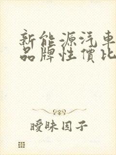 新能源汽车哪个品牌性价比最高