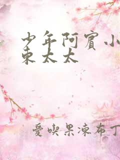 少年阿宾小说房东太太