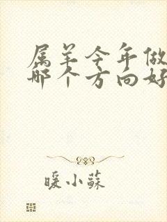 属羊今年做生意哪个方向好