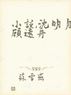 小说,沈明月,顾远舟