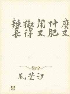 辣椒用什么肥料长得又肥又壮