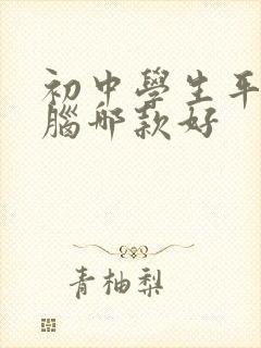 初中学生平板电脑哪款好