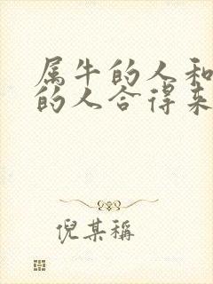 属牛的人和属虎的人合得来吗