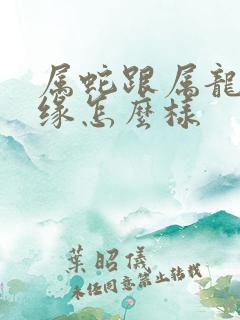属蛇跟属龙的姻缘怎么样