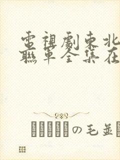 电视剧东北抗日联军全集在线