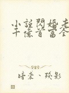 小说闪婚老公是千亿首富全文