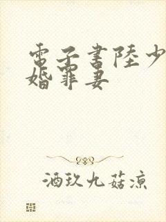 电子书陆少的隐婚罪妻
