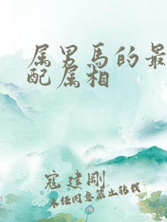 属男马的最佳婚配属相