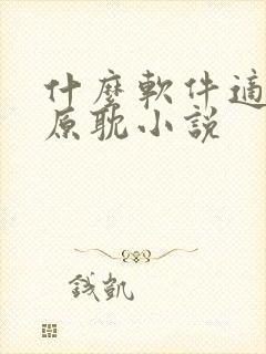 什么软件适合看原耽小说