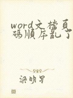 word文档页码顺序乱了如何调整