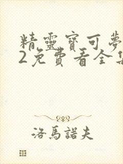 精灵宝可梦xy2免费看全集