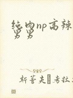 纯肉np高辣文男男