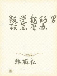 叛逆期的男孩子该怎么办