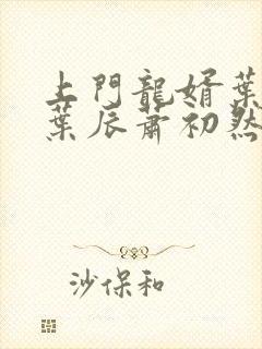 上门龙婿叶辰 叶辰萧初然