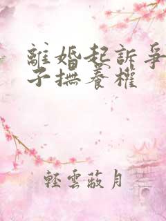 离婚起诉争夺孩子抚养权