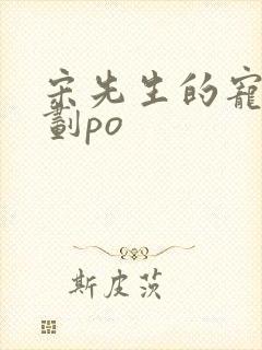 宋先生的宠妻计划po