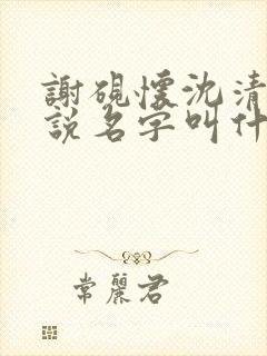 谢砚怀沈清筠小说名字叫什么