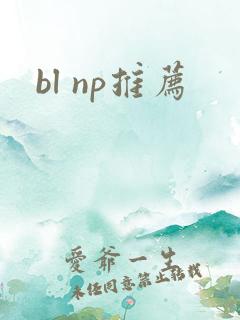 bl np推荐