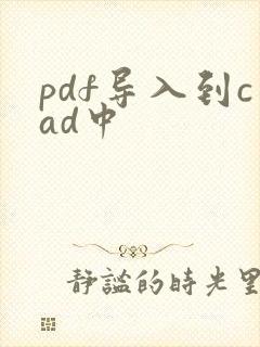pdf导入到cad中